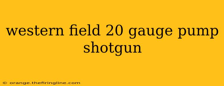 western field 20 gauge pump shotgun