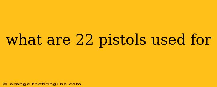 what are 22 pistols used for