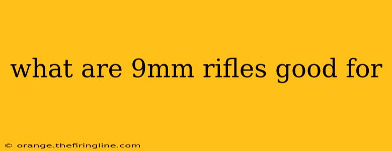 what are 9mm rifles good for