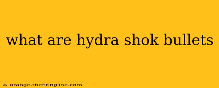 what are hydra shok bullets