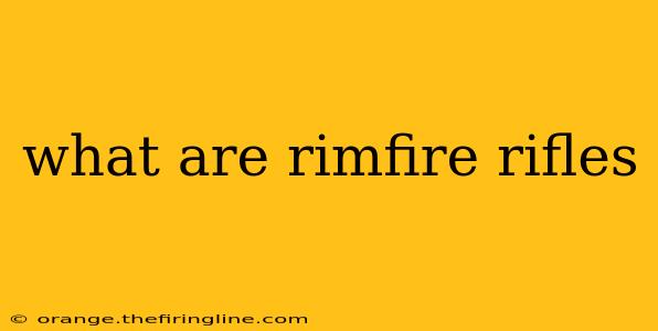 what are rimfire rifles