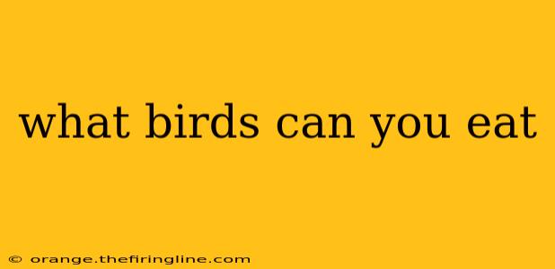 what birds can you eat