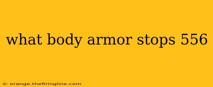 what body armor stops 556