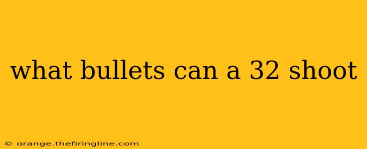 what bullets can a 32 shoot