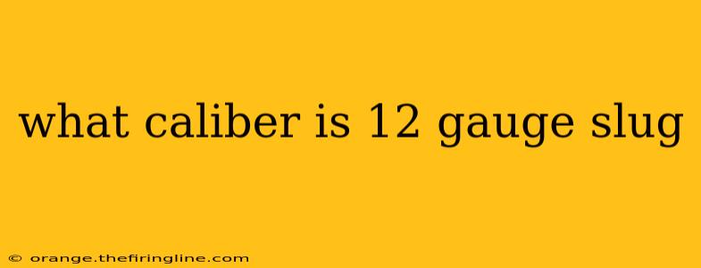 what caliber is 12 gauge slug