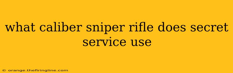 what caliber sniper rifle does secret service use