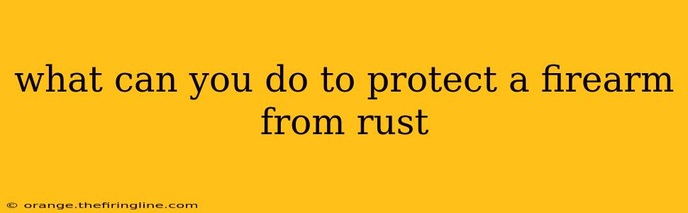 what can you do to protect a firearm from rust