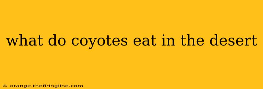 what do coyotes eat in the desert