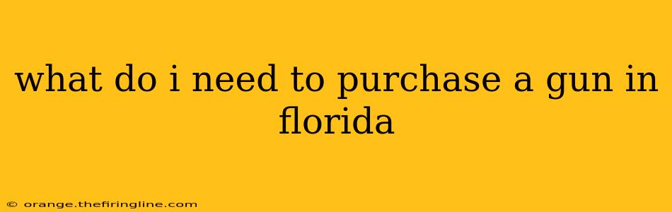 what do i need to purchase a gun in florida