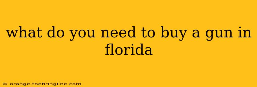 what do you need to buy a gun in florida