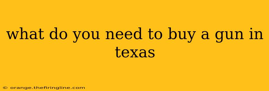 what do you need to buy a gun in texas