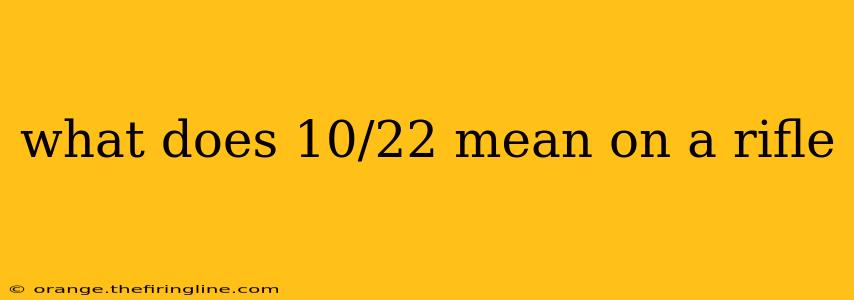 what does 10/22 mean on a rifle