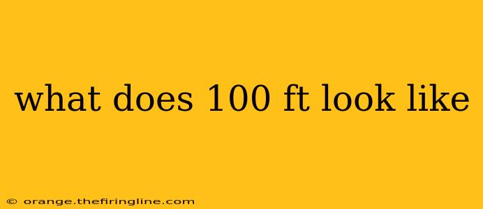 what does 100 ft look like