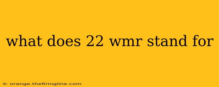 what does 22 wmr stand for