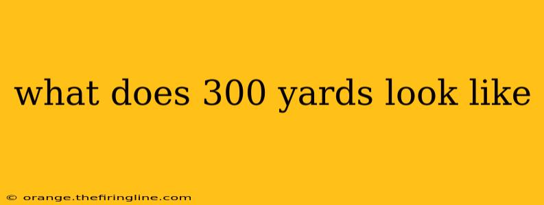 what does 300 yards look like