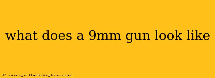 what does a 9mm gun look like