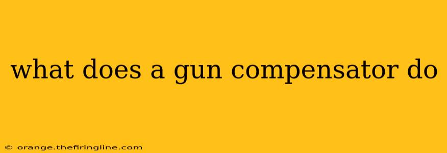 what does a gun compensator do