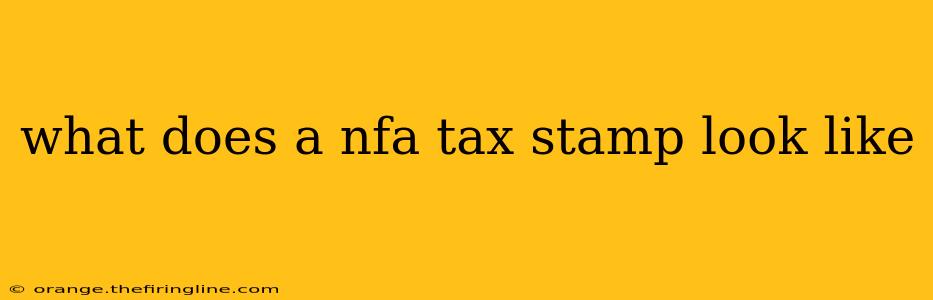 what does a nfa tax stamp look like