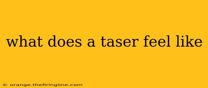 what does a taser feel like