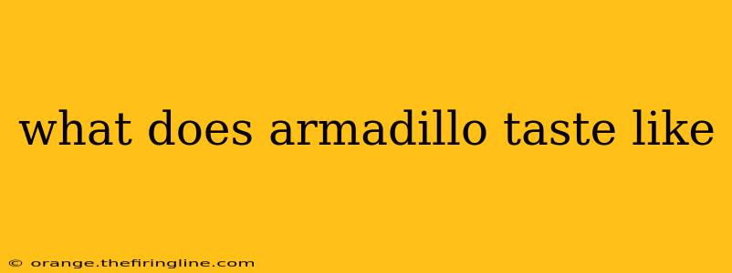 what does armadillo taste like