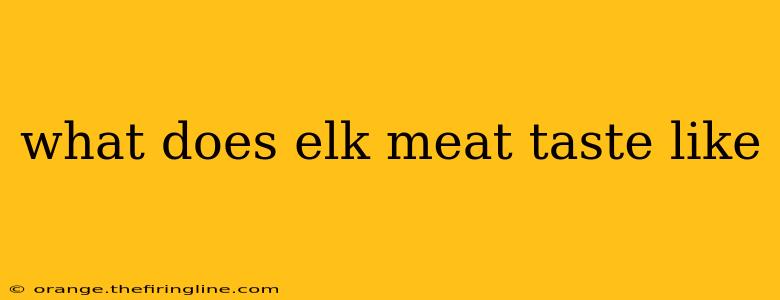 what does elk meat taste like