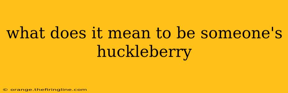 what does it mean to be someone's huckleberry