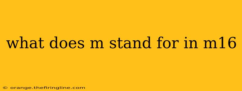 what does m stand for in m16