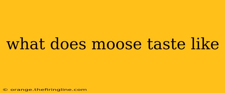 what does moose taste like