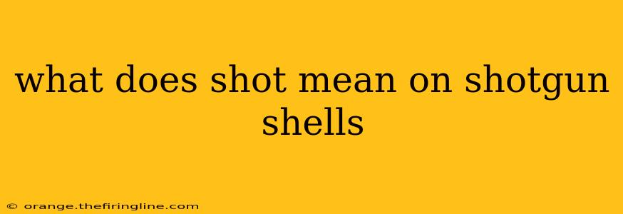 what does shot mean on shotgun shells