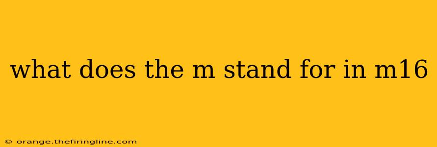 what does the m stand for in m16