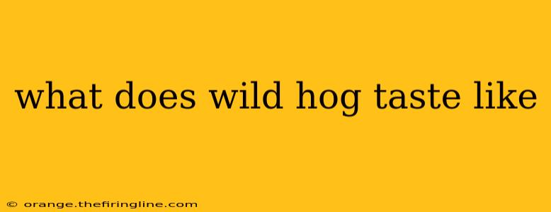 what does wild hog taste like