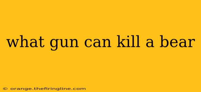 what gun can kill a bear