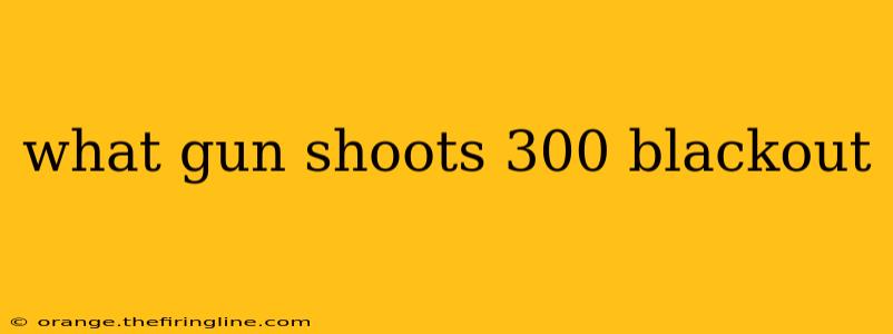 what gun shoots 300 blackout