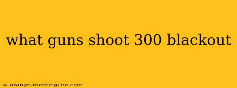 what guns shoot 300 blackout