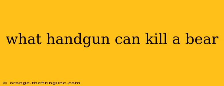 what handgun can kill a bear