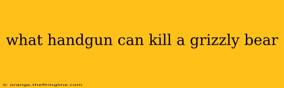 what handgun can kill a grizzly bear