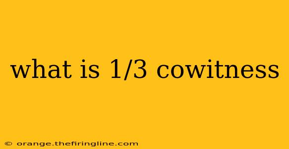 what is 1/3 cowitness