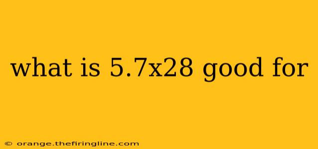 what is 5.7x28 good for