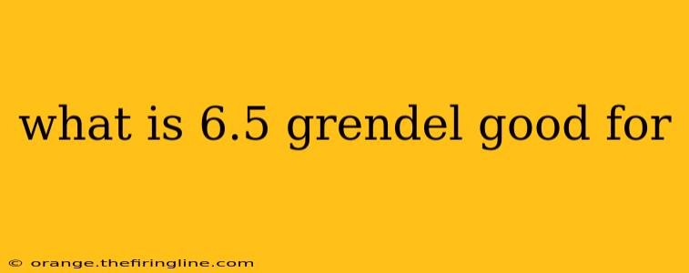 what is 6.5 grendel good for