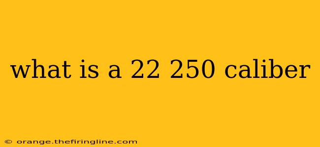 what is a 22 250 caliber