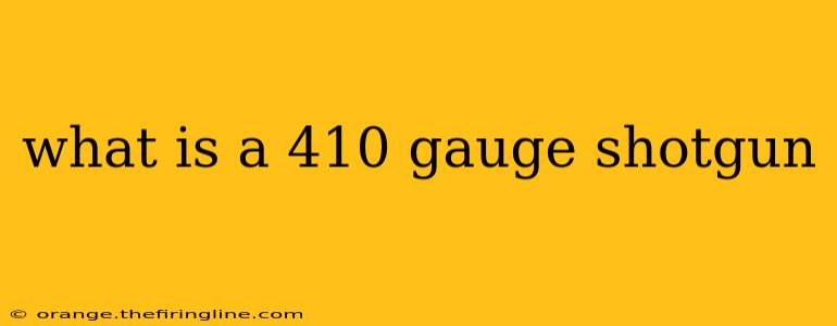 what is a 410 gauge shotgun