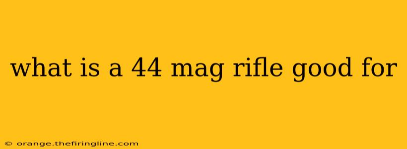 what is a 44 mag rifle good for