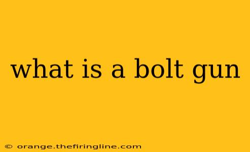 what is a bolt gun