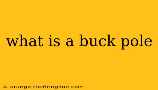 what is a buck pole