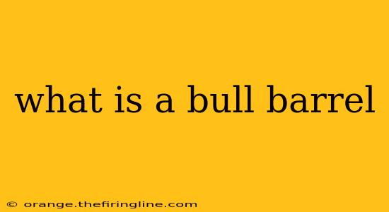 what is a bull barrel