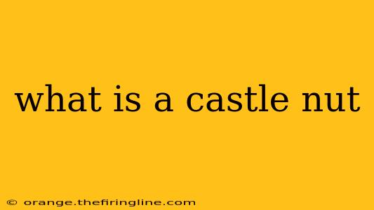 what is a castle nut