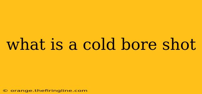 what is a cold bore shot