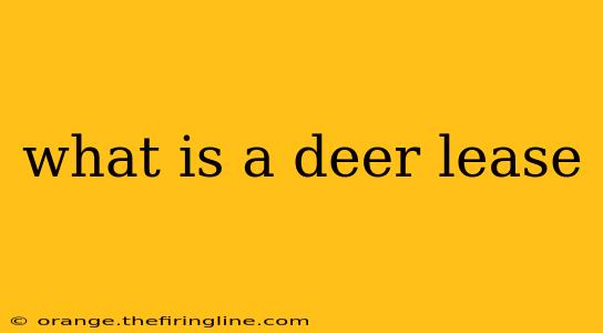 what is a deer lease