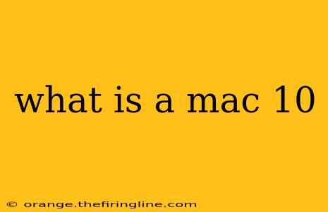 what is a mac 10