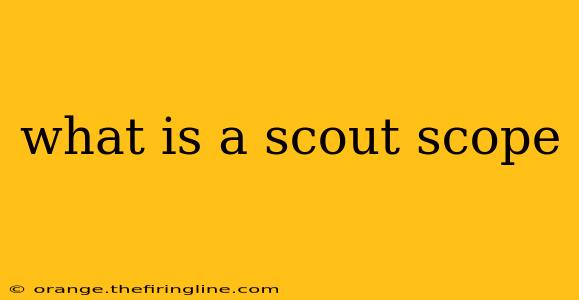 what is a scout scope